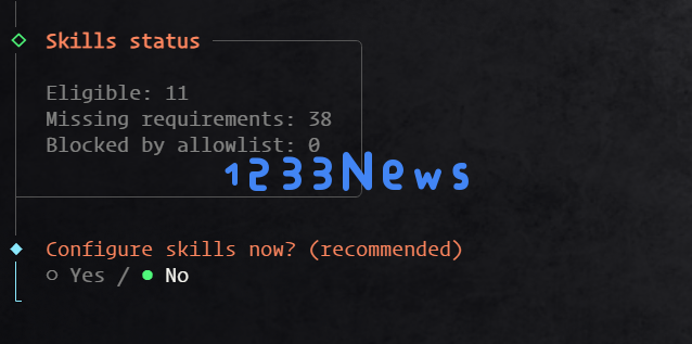 Clawdbot skills 技能配置选项