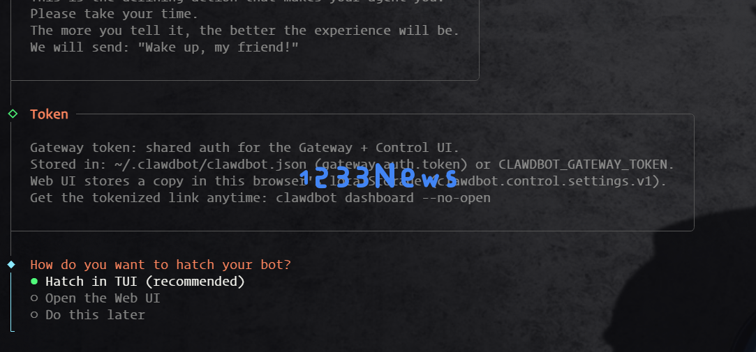 Clawdbot 选择 TUI 终端界面
