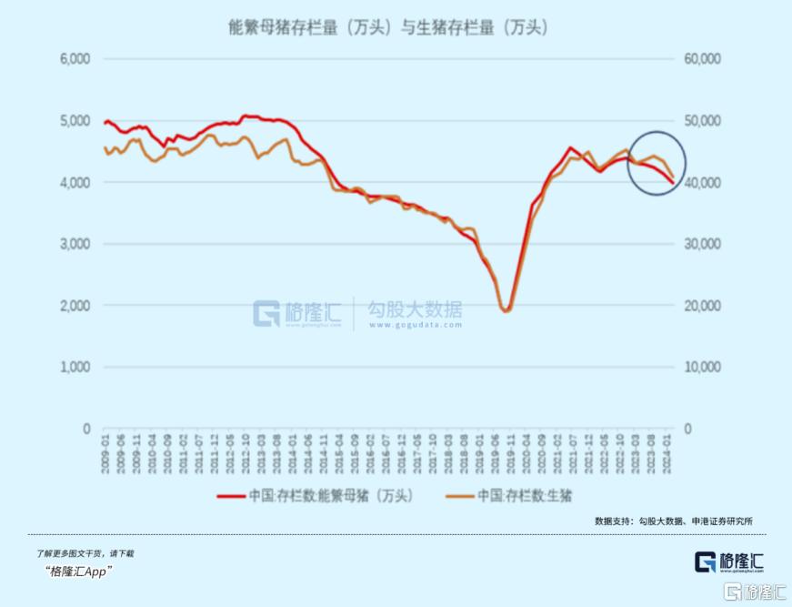 重要信号出现！行业龙头开始赚钱了_实时热点
