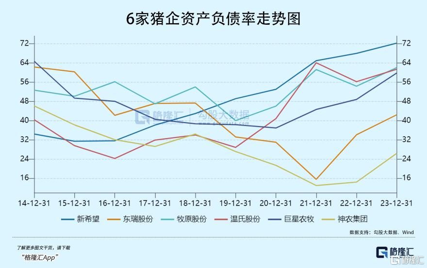 一家黑马猪企的滑铁卢_国内新闻
