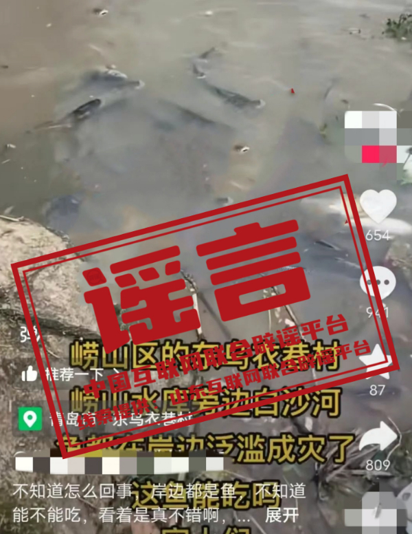 （2024年8月20日）今日辟谣：青岛崂山水库污染严重，鱼类漂浮成灾？_实时热点
