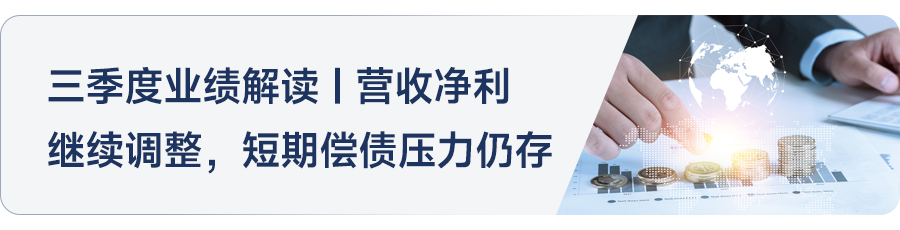 2024年1_11月上海房地产企业销售业绩TOP20_房产资讯_房天下