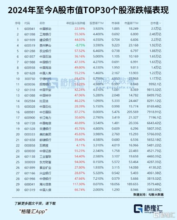2023年A股市场中的最杰出赢家是谁？