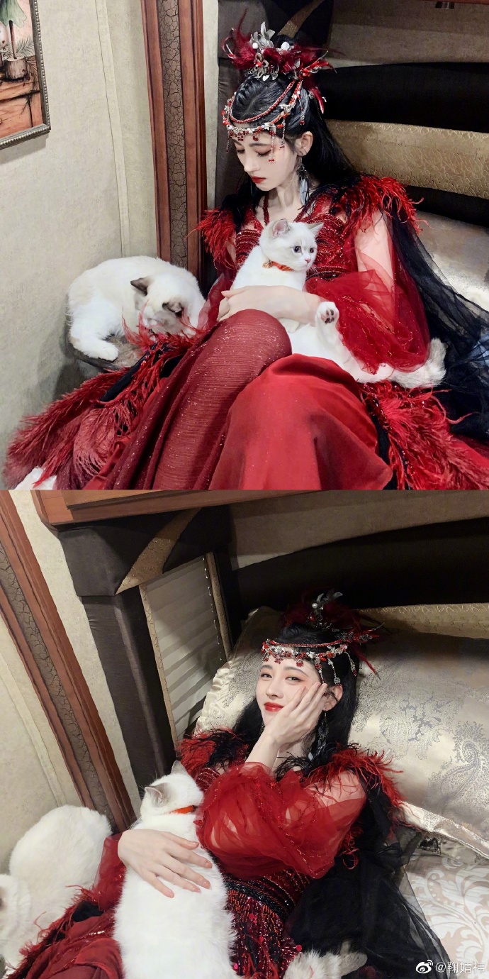 鞠婧祎身着古装造型宛如仙女轻拥猫咪展现温柔气质