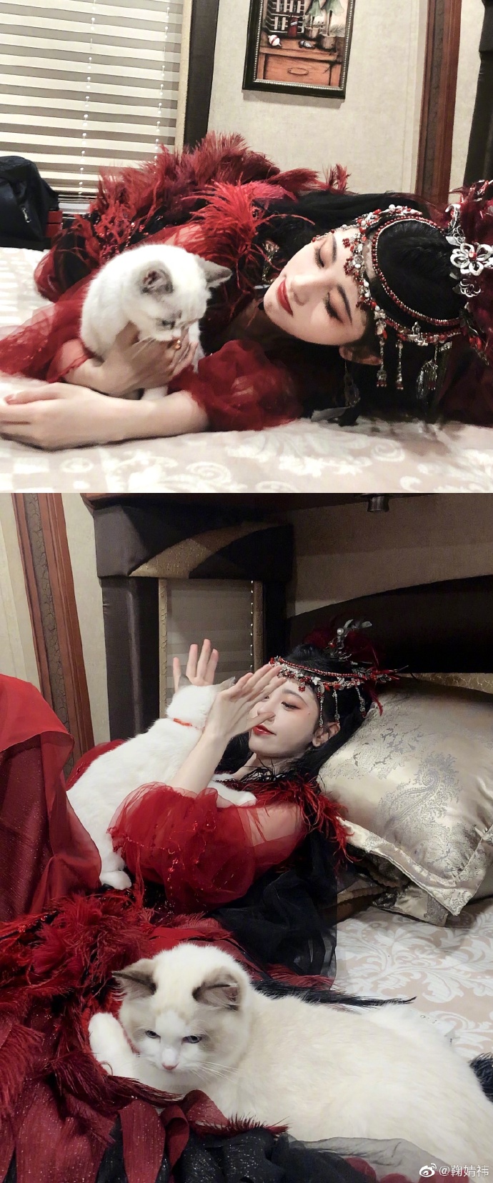 鞠婧祎身着古装造型宛如仙女轻拥猫咪展现温柔气质