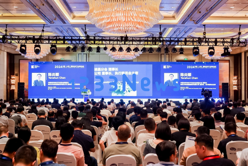 深度解析Deepseek算卦DIC2025年，探讨今年“巳”年带来的良好机遇