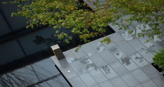 中交房地产:以优质产品为核心铸就理想居住环境的标杆房标_房产资讯_房天下