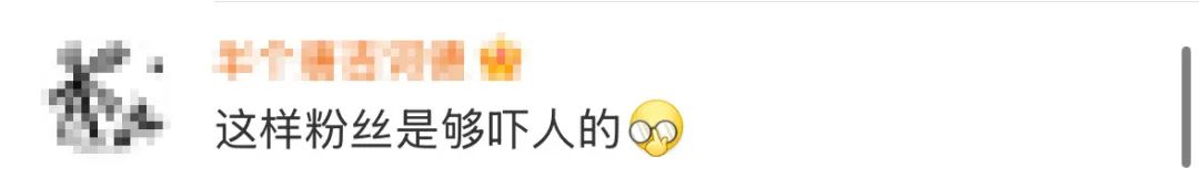 叶童首度回应遭遇疯狂粉丝事件，深入背后原因引发热议