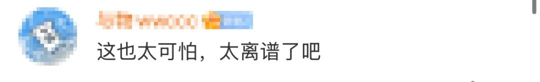 叶童首度回应遭遇疯狂粉丝事件，深入背后原因引发热议