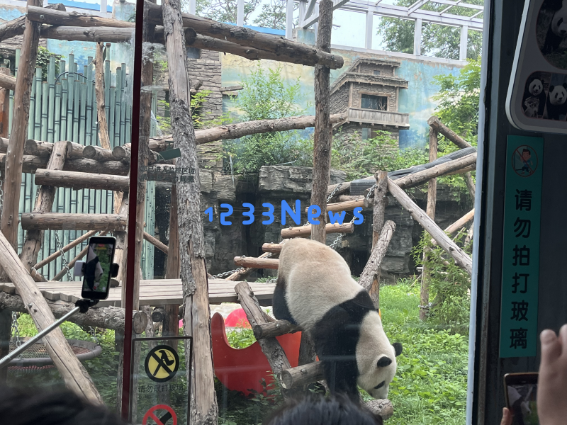 AI生成视频技术的较量：快手可灵与字节即梦AI究竟谁能胜出？
