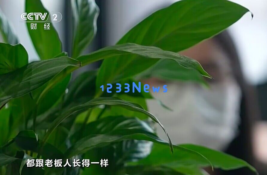 央视315揭露利用AI技术进行伪造声音和面貌的诈骗行为，引发广泛关注与警惕