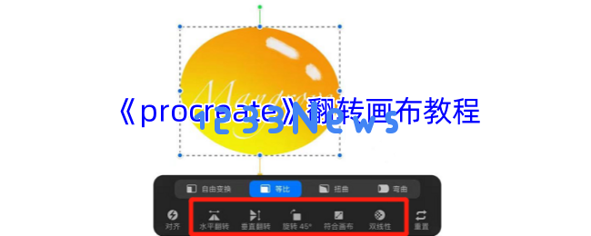 掌握Procreate画布翻转技艺 三秒钟解锁镜像魔法与手势秘技