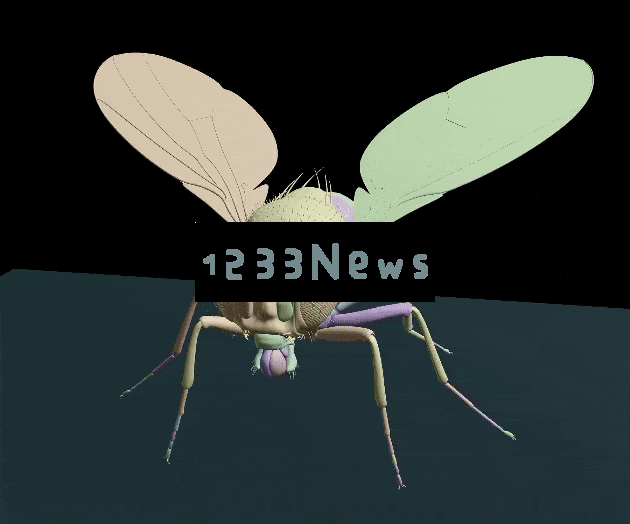 DeepMind突破登Nature：AI模拟果蝇飞行，强化学习引爆科技圈