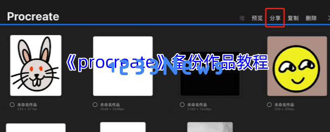 Procreate作品备份指南：3种方法防止文件丢失