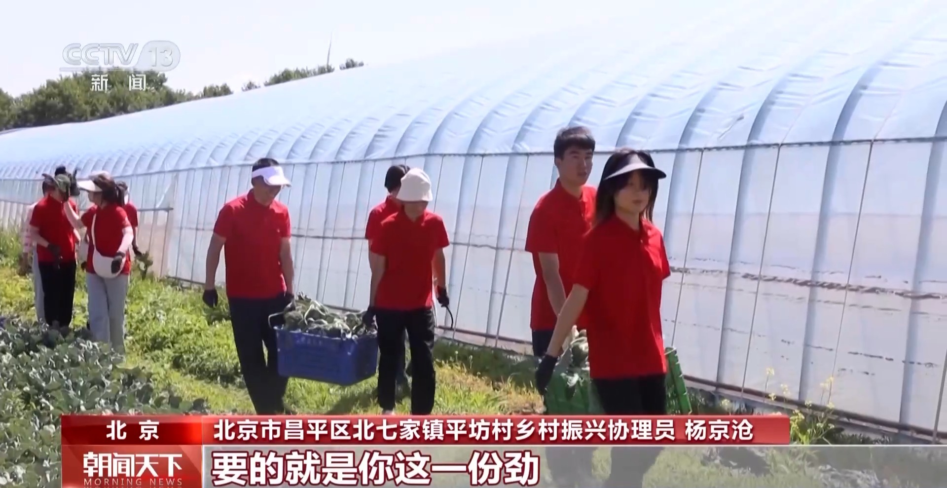 大学应届毕业生在基层就业中可以获得的丰富政策支持与优待措施