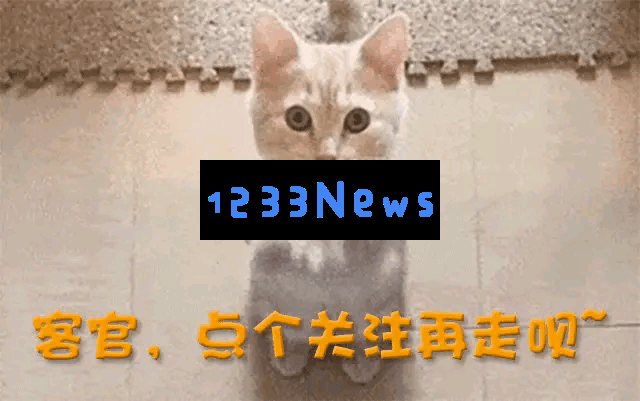 持之以恒的努力！33岁投身幕后，56岁时已满头白发的亚宁走上了人生新阶段