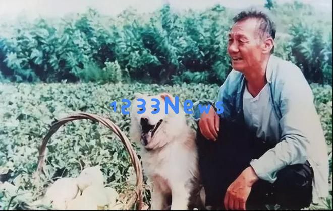 92岁高龄的“国民爷爷”田成仁：轮椅上的坚持与47次农民角色的演绎