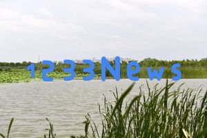 奋进新征程 建设美丽家园丨天津致力于打造京津冀绿色生态屏障
