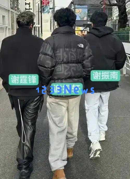 比较张柏芝的儿子和王菲的女儿，才发现两者之间的不同之处到底在哪里