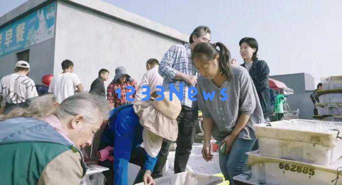 64岁赵文瑄选择宁波定居，郊外大别墅生活，陪伴他的有3只猫和5只狗
