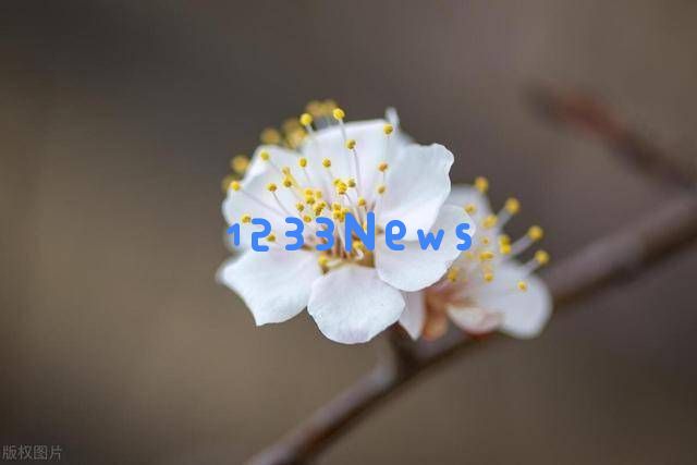 与兄弟姐妹断绝关系、不愿再联系的人，多数属于这三种情况