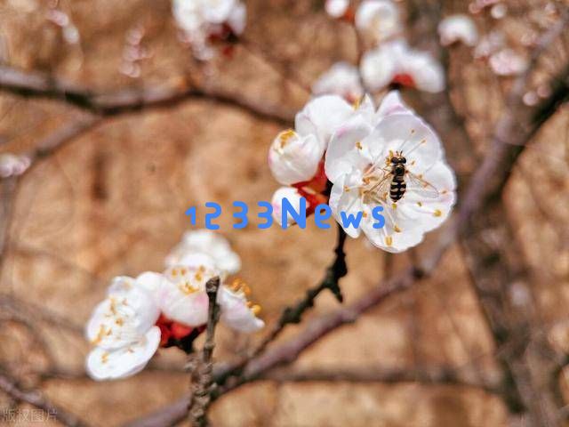 与兄弟姐妹断绝关系、不愿再联系的人，多数属于这三种情况
