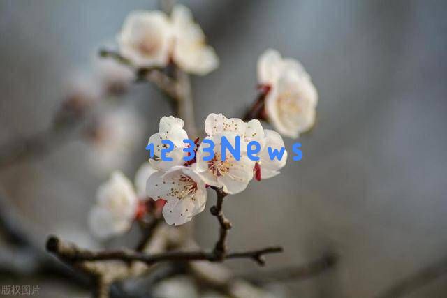 与兄弟姐妹断绝关系、不愿再联系的人，多数属于这三种情况