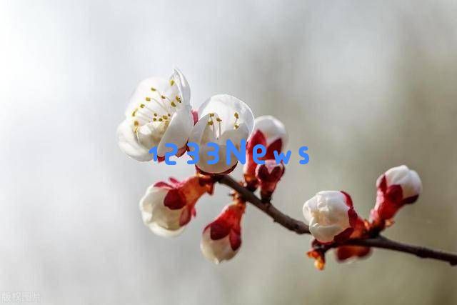 如果你不主动联系我，无论多喜欢，我也不会再主动出击了