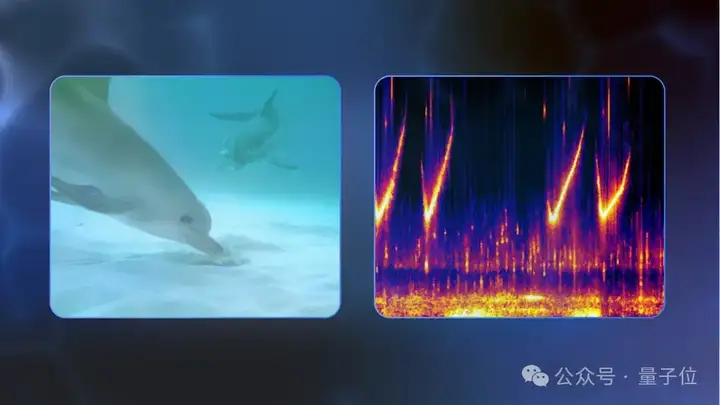 海豚语言被谷歌大模型破译！DolphinGemma打开跨物种交流大门，哈萨比斯：下一个是狗