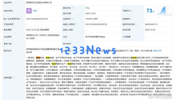 比亚迪实业公司成立：开启新征程的1000万元资本之路
