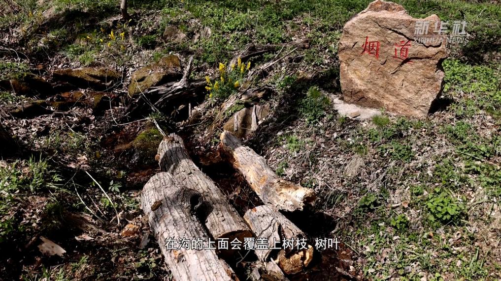 山河印记·再现抗战时光丨隐秘沟通抗联密营中的“消烟通道”