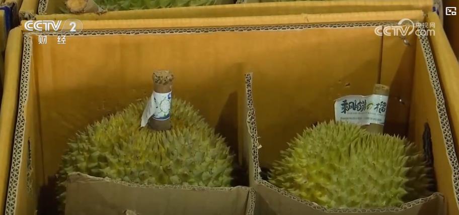 物流创新推动进口水果交易：东南亚水果更迅速更新鲜更具竞争力