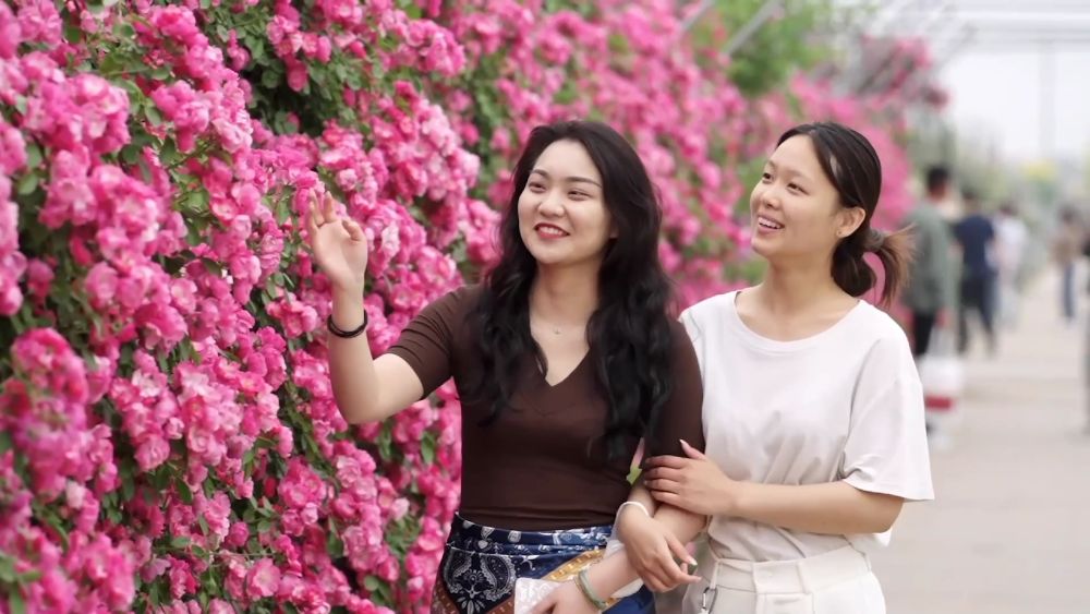 新华视点｜乡村振兴的交响乐章与美丽蜕变之旅