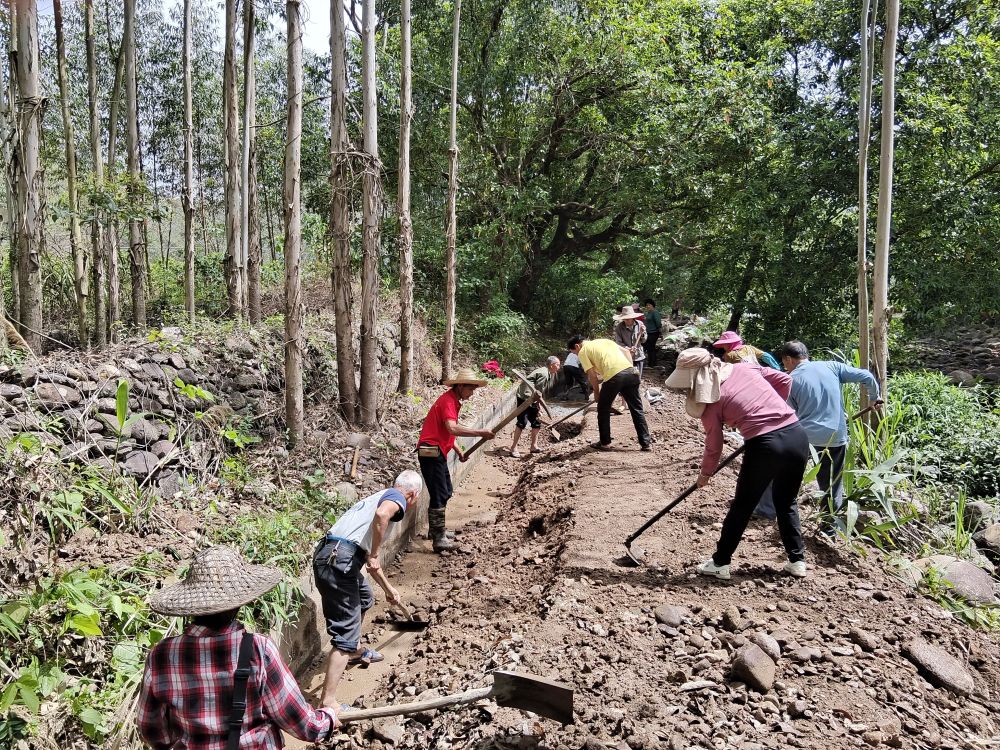 积极应对干旱挑战助力农业稳定生产与丰收——多地抗旱保农前线实地观察