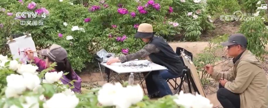 各地花卉盛开吸引游客到访赏花活动助力“美丽经济”蓬勃发展