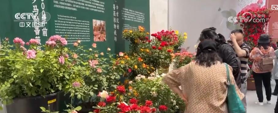 各地花卉盛开吸引游客到访 赏花活动助力“美丽经济”蓬勃发展