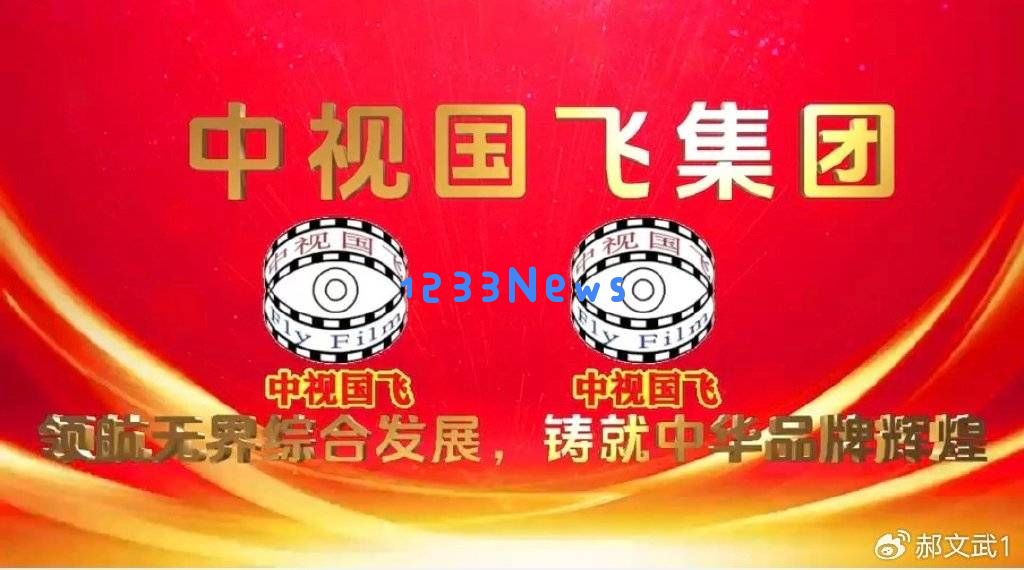 中视国飞集团：多元化发展与创新驱动，共同谱写中华品牌的新篇章
