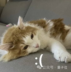 被拒稿11年后翻盘获时间检验奖，DSN作者谢赛宁：拒稿≠学术死刑
