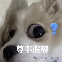 5.28亿融资砸向杭州具身智能公司，清华叉院机器人天才坐镇，被称为“中国版Figure”