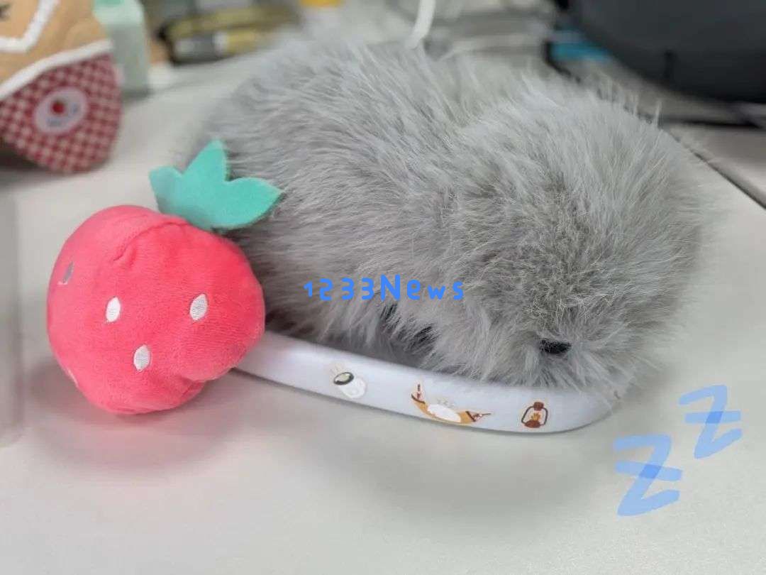 从谷子到AI玩具，情绪价值收割Z世代的千亿孤独税