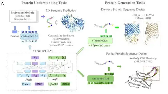 全球首个千亿级蛋白质模型开源！百图生科掀起生命科学AI普惠革命