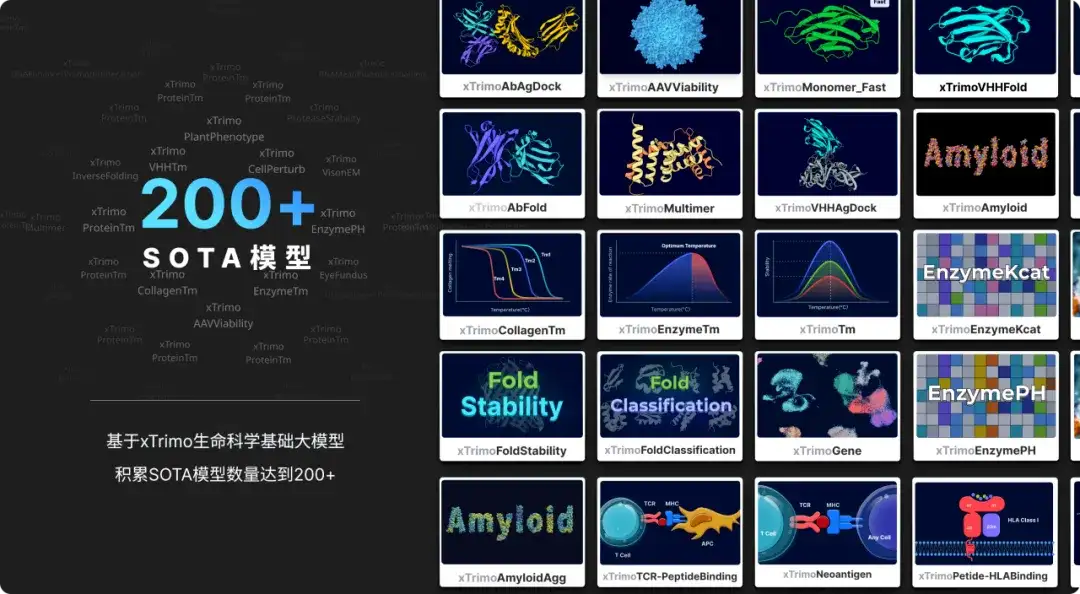 全球首个千亿级蛋白质模型开源！百图生科掀起生命科学AI普惠革命