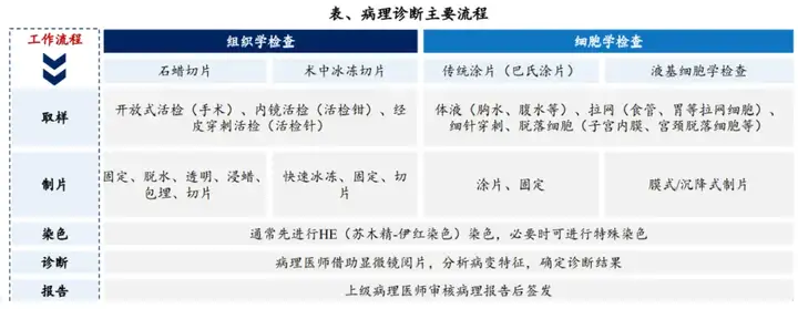 万亿AI医疗核心风口：AI辅助诊断 ，60家企业深度布局，一文汇总！