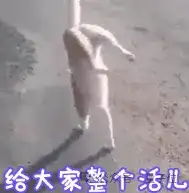 腾讯图生视频全面开源，更懂物理规律，一手实测来了