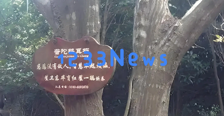 全球唯一幸存的“地球独子”，我国用火箭将其送往太空以拯救它的未来