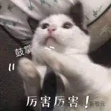 讯飞星火X1单挑满血版DeepSeek-R1，全国产算力单机部署！中国AI再下一城