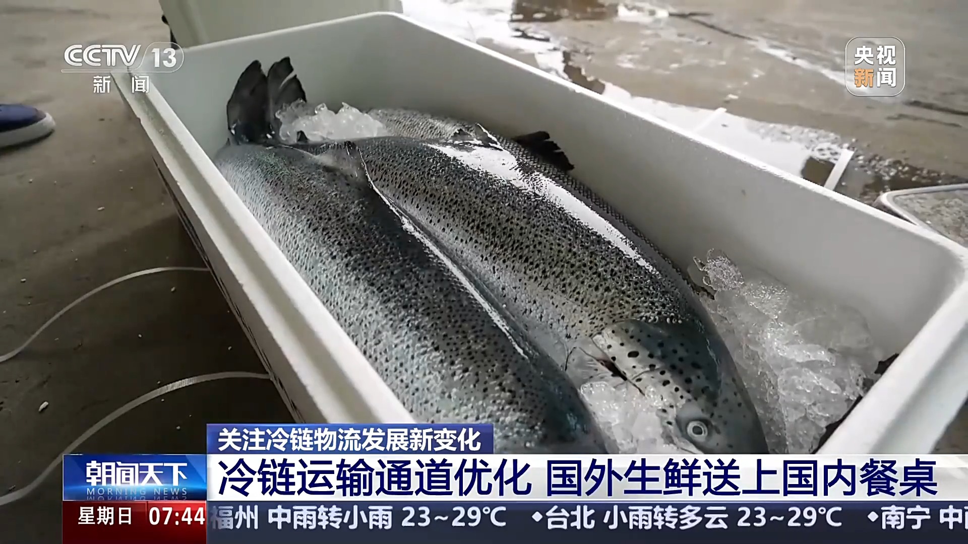 冷链物流迅速发展智利三文鱼48小时内送达成都居民餐桌