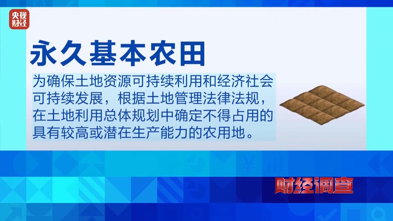 财经调查丨基本农田被垃圾覆盖，整改措施为何沦为“形式主义”？