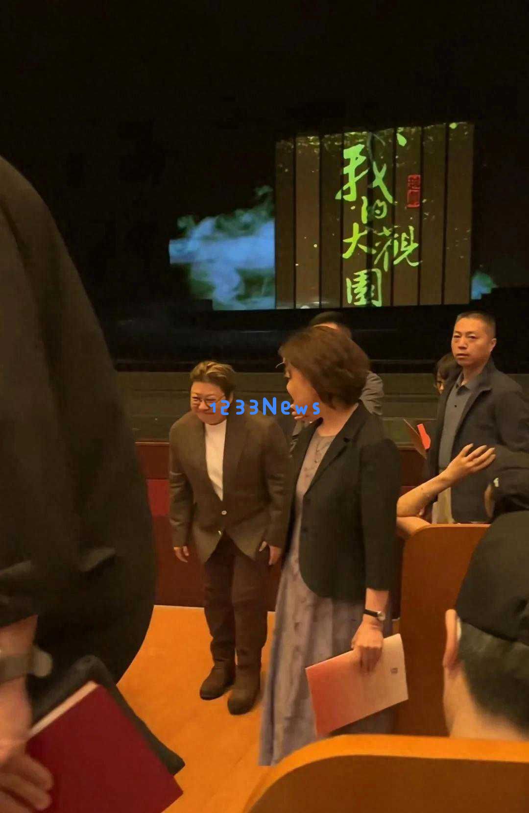 韩红点赞热潮不断，陈丽君大观园剧集引发全民追剧热情