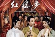 回顾《新红楼》播出十四年：年轻演员差异明显，剧外依然难逃“红楼魔咒”